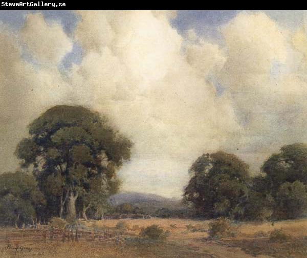 unknow artist California Landscape with Oaks and Fence